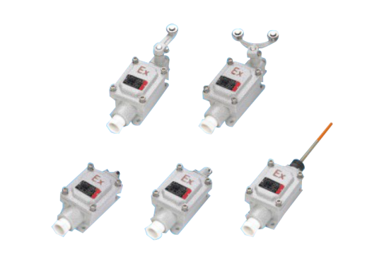 dLXK-□C防爆行程開關